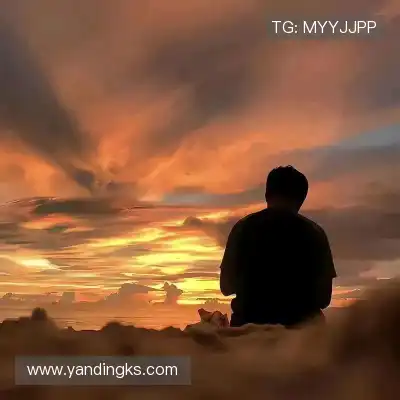 石琛纲